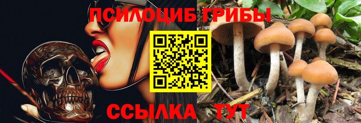 цена   Вход с VPN  Псилоцибиновые грибы ЛСД  Алатырь  Псилоцибиновые грибы прущие грибы 